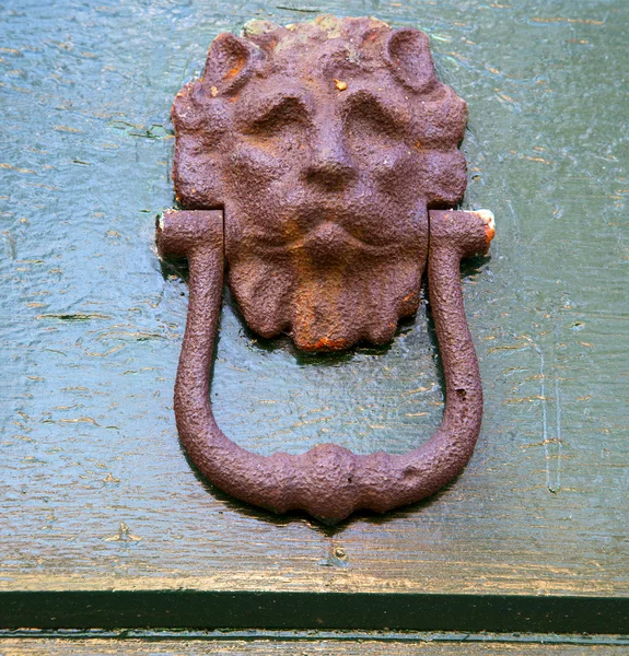 Abstract   brass brown knocker    closed wood door olgiate olona — Stock Photo, Image