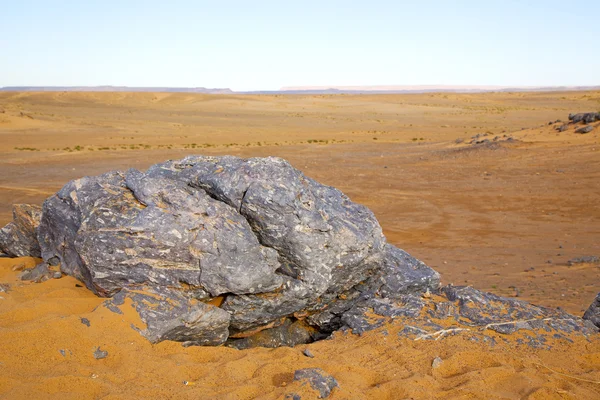 Altes Fossil am Himmel — Stockfoto