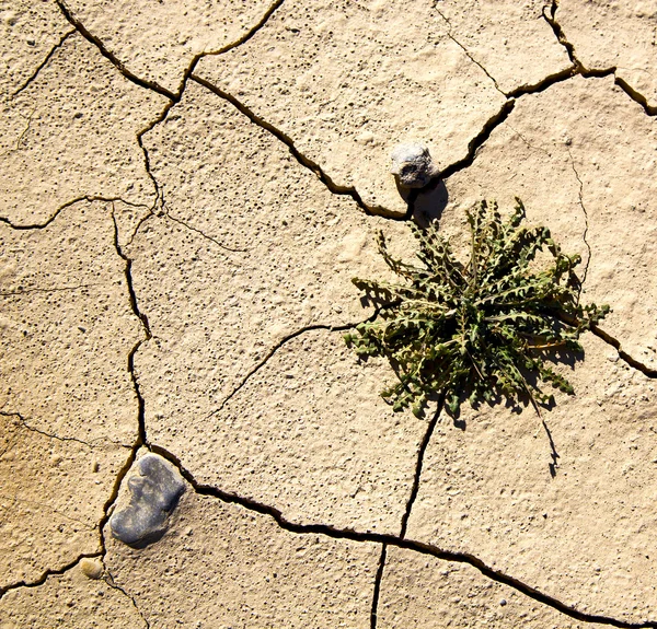 Sable brun sec dans le désert du Sahara Maroc érosion africaine et abstention — Photo