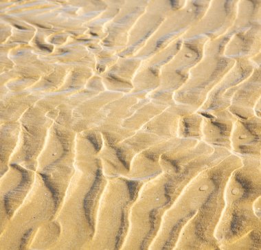 Dune Fas Afrika kahverengi kıyı şeridi atlan ıslak kum plaj