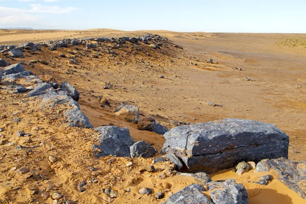 Busch altes Fossil in der Wüste — Stockfoto