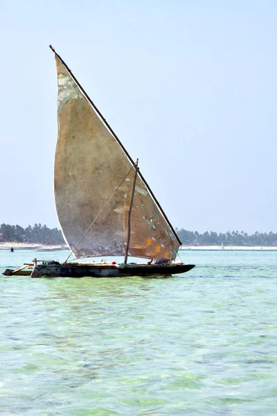 Strand in Sansibar Algen — Stockfoto