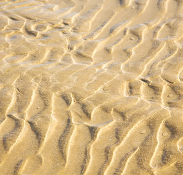 Dune morocco em áfrica costa marrom praia de areia molhada perto de atlan — Fotografia de Stock