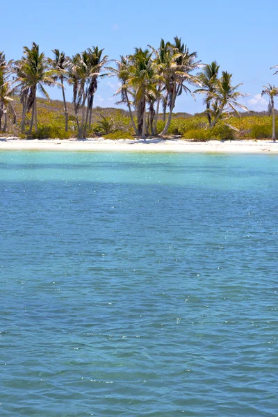 Isla contoy en escarcha mexicana y espuma azul la — Foto de Stock