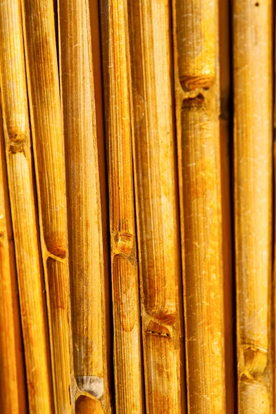Abstrakt cross bambu i templet kho söder — Stockfoto