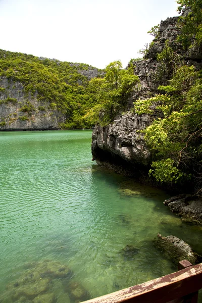 Littoral d'une lagune verdoyante et baie de thailand de mer kho phangan — Photo