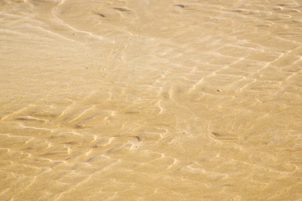Dun em África costa marrom praia de areia molhada — Fotografia de Stock