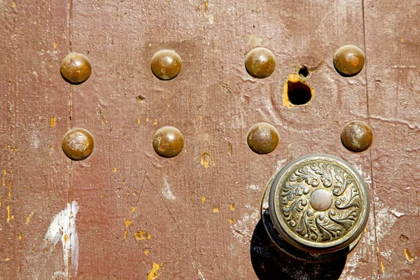 Morocco knocker in africa the old hole — Stock Photo, Image