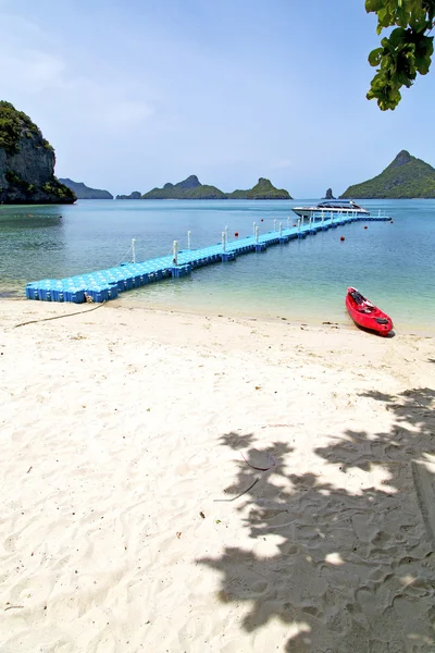 Plastic pier  coastline of a  green lagoon and tree  phangan   b — Stock Photo, Image