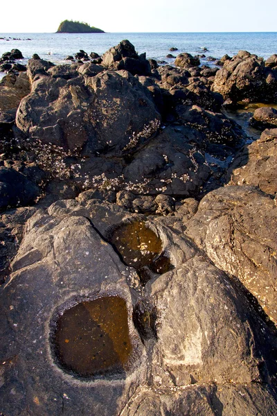 Algas marinhas de madagáscar no céu e na rocha da ilha indiana — Fotografia de Stock