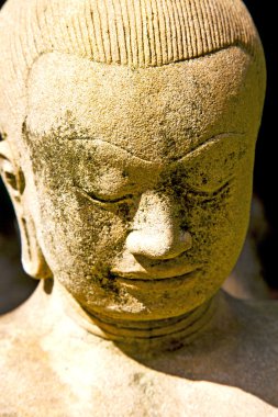 Siddharta Tapınağı sarı adım wat Saray   