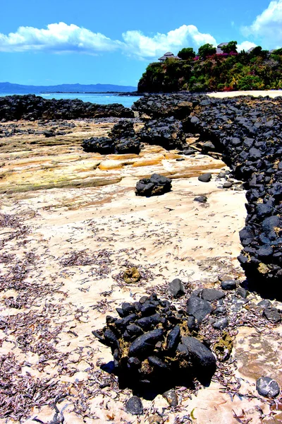 Andilana wodorostów w indian ocean opoka — Zdjęcie stockowe