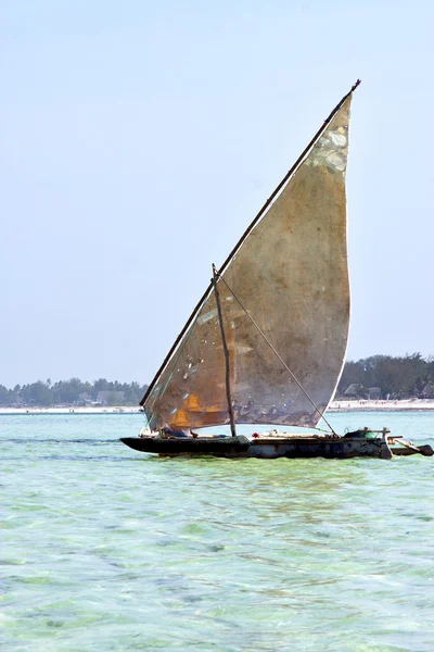 Pláže Zanzibaru řas — Stock fotografie