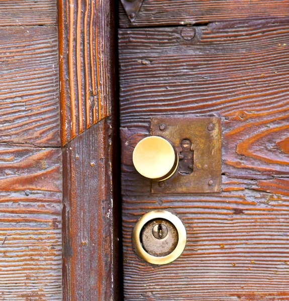 Brass brown knocker   wood  door vinago  varese italy — Stock Photo, Image