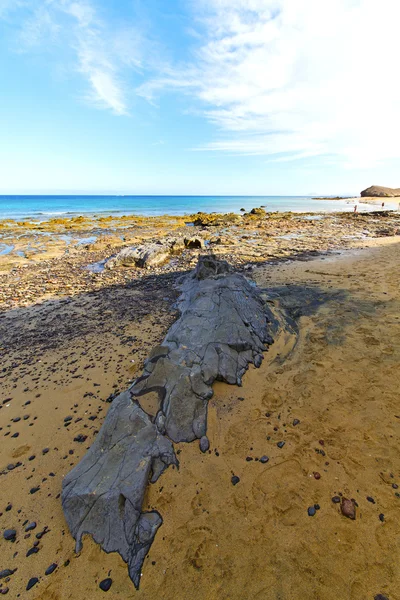 Bílé pobřeží lanzarote ve vodě a v létě — Stock fotografie