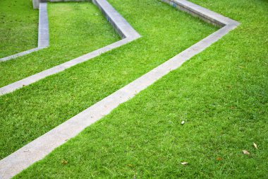 Tayland Asya soyut Bahçe çim tapınağın çapraz 