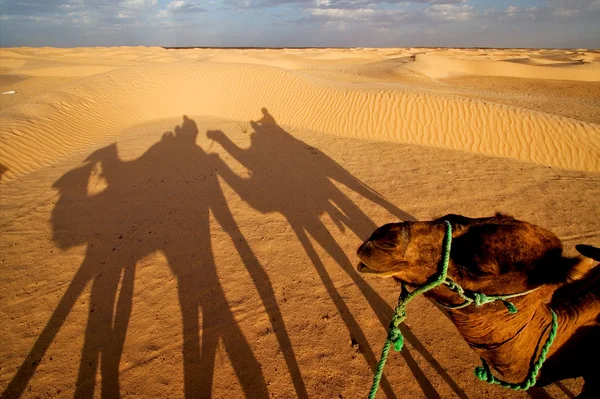 Alba nel deserto del sahara — Foto Stock