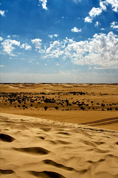 Duny v poušti sahara — Stock fotografie