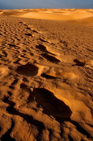 Sahara deserto tunisia — Fotografia de Stock