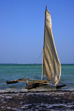 plaj ve Tanzanya zanzibar tekne