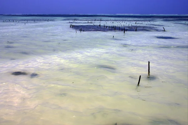 Kayu dalam air — Stok Foto