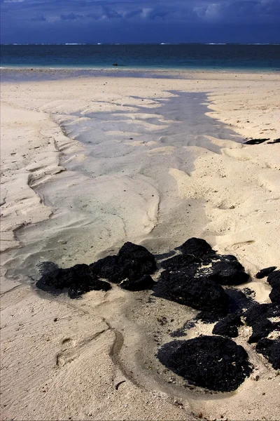 Playa de roca y piedra en Mauritius —  Fotos de Stock