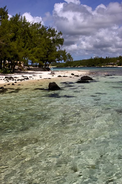 Rochers de plage et pierres en deus cocos — Photo