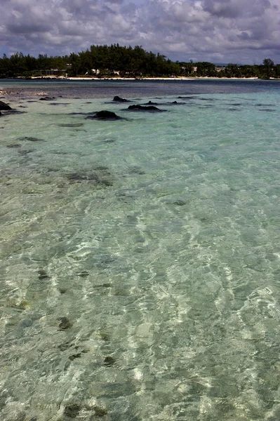 Deus cocos em Mauritius — Fotografia de Stock