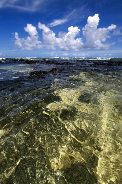 Piedra en ile du cerfs mauritius — Foto de Stock