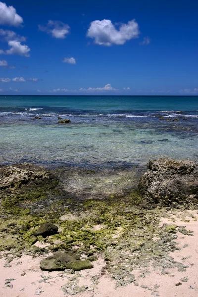 Plage roche et pierre dominica — Photo