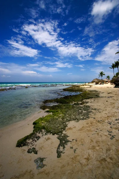 Playa de roca y piedra cabaña y palma en República Dominicana — Foto de Stock