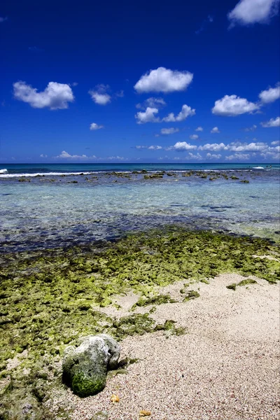 Strand rots en de steen in republica dominicana — Stockfoto