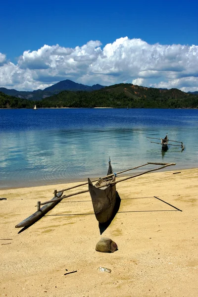 Boat palm  rock stone branch  lagoon and coastline — Stock Photo, Image