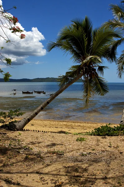 Madagaskar člun palm laguny a pobřeží — Stock fotografie