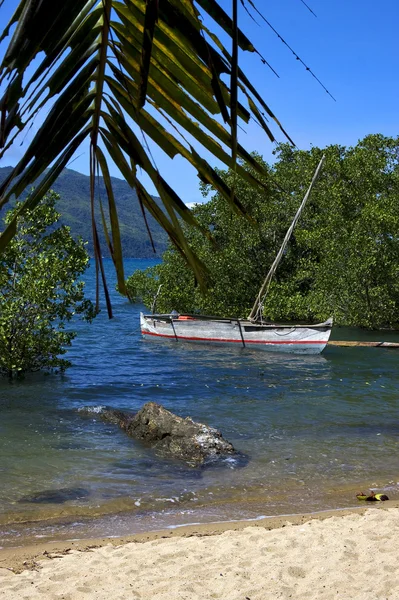 Madagascar nosy be rock  branch boat palm lagoon and coastline — Stock Photo, Image