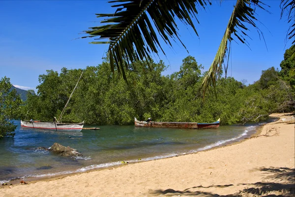 Entrometida ser piedra rama barco palmera laguna y costa — Foto de Stock