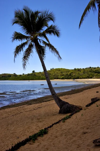 Nosy vara båt palm och kust — Stockfoto