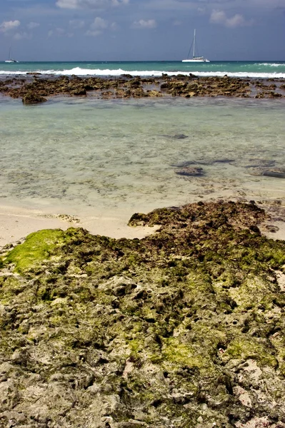 Beach rock a kamenné chatě v republica dominicana — Stock fotografie