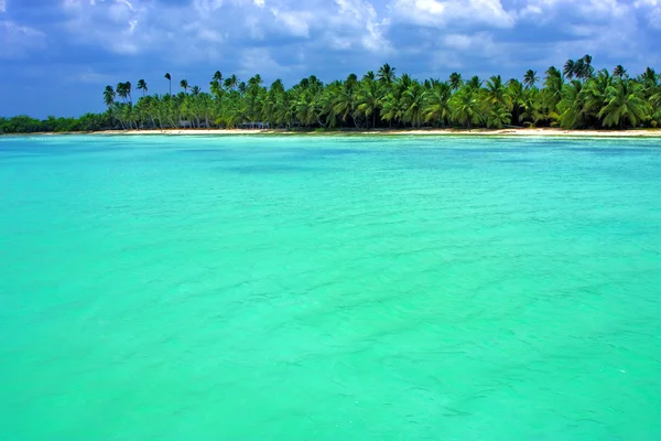 Küste in republica dominicana — Stockfoto