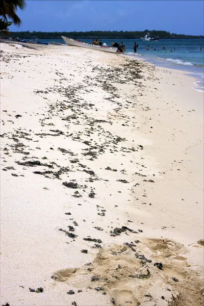 Republica dominicana yosununa — Stok fotoğraf