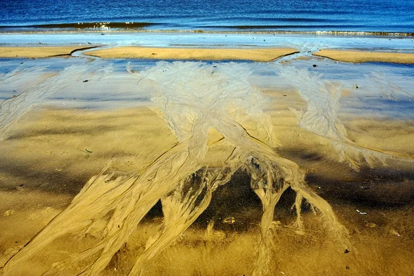 Abstract in beach — Stock Photo, Image