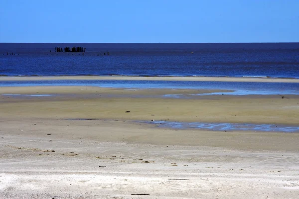 Playa y madera en colonia del sacramento — Foto de Stock