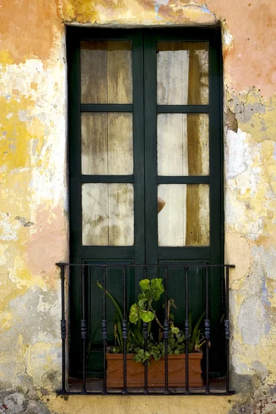 Зеленые старые окна терраса и цветок — стоковое фото