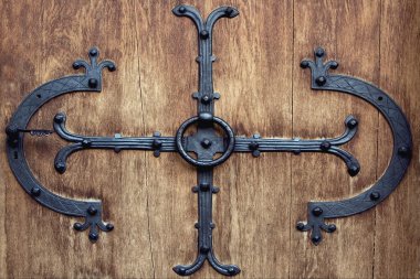  kahverengi tokmağı neuschwainstain içinde 