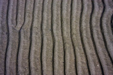 rio de la Plata kıyısında doku 