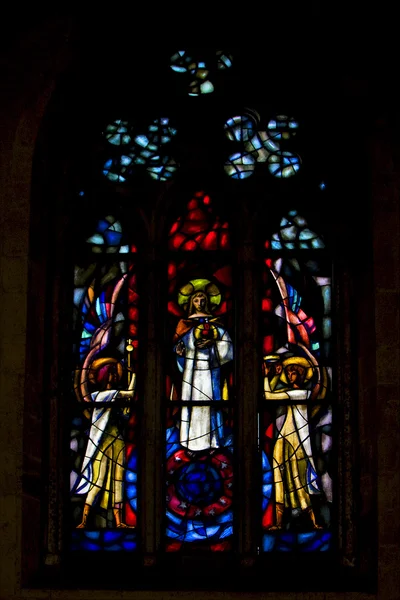 The colored rose window in santa chiara — Stock Photo, Image