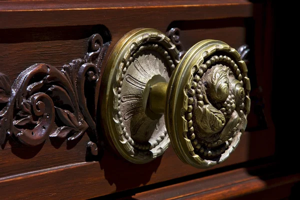 Brown knocker in a closed wood — стоковое фото
