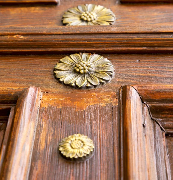 Abstract  rusty brass brown knocker gallarate varese — Stock Photo, Image