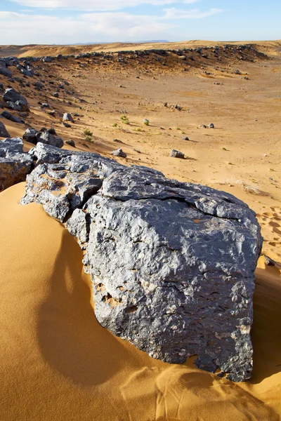 モロッコ サハラ砂漠と岩石空の砂漠の古いブッシュします。 — ストック写真