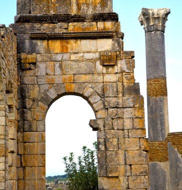 Volubilis Fas Afrika eski Roma bozulan anıt 